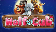Wolf Cub