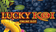 Lucky Koi